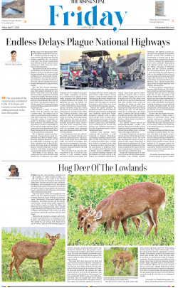 newspaper