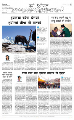 newspaper