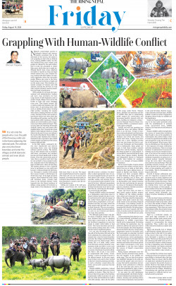 newspaper