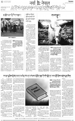 newspaper