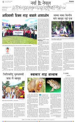 newspaper