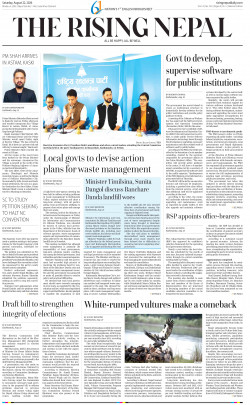newspaper