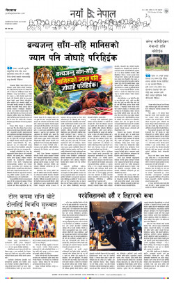 newspaper